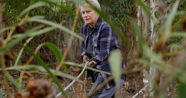 Senior Man Engaging in Outdoor Forest Conservation Work - Download Free Stock Images Pikwizard.com