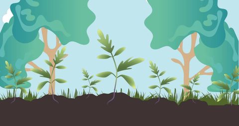 Young Plants Growing Vibrantly in Forest Illustration