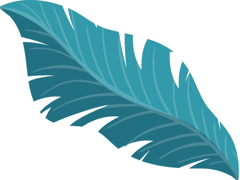 teal feather illustration on transparent background - Download Free Stock Videos Pikwizard.com