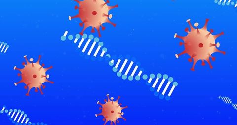 Digital Representation of Virus Cells Interacting with DNA Strands