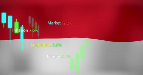 Economic Data Visualization Against Indonesian Flag