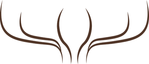 Elegant Minimalist Antler Design on Transparent Background - Download Free Stock Videos Pikwizard.com