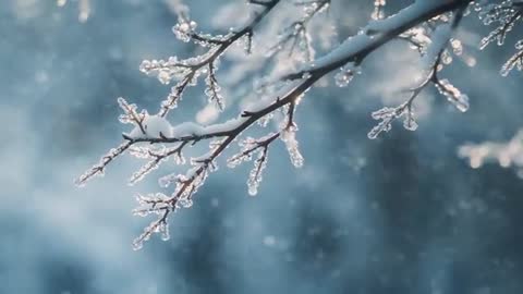 Glittering icy branches swaying in gentle snowfall cinematic close-up with blue bokeh