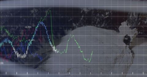 Blending wildlife and technology with data graph overlay