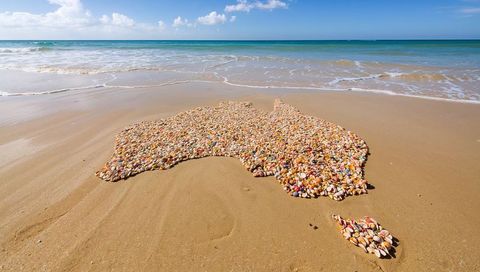 Australia shaped by seashells on sandy beach shore