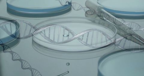 DNA Strands Overlay on Laboratory Dishes for Scientific Research - Download Free Stock Images Pikwizard.com