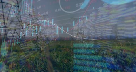 Technology and Nature Fusion Featuring Data Graph Overlay