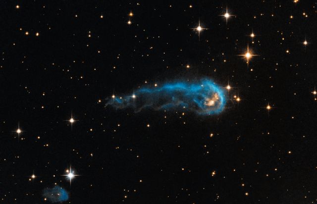 This light-year-long knot of interstellar gas and dust resembles a caterpillar on its way to a feast. But the meat of the story is not only what this cosmic caterpillar eats for lunch, but also what's eating it. Harsh winds from extremely bright stars are blasting ultraviolet radiation at this &quot;wanna-be&quot; star and sculpting the gas and dust into its long shape.  The culprits are 65 of the hottest, brightest known stars, classified as O-type stars, located 15 light-years away from the knot, towards the right edge of the image. These stars, along with 500 less bright, but still highly luminous B-type stars make up what is called the Cygnus OB2 association. Collectively, the association is thought to have a mass more than 30,000 times that of our sun.  The caterpillar-shaped knot, called IRAS 20324+4057, is a protostar in a very early evolutionary stage. It is still in the process of collecting material from an envelope of gas surrounding it. However, that envelope is being eroded by the radiation from Cygnus OB2. Protostars in this region should eventually become young stars with final masses about one to ten times that of our sun, but if the eroding radiation from the nearby bright stars destroys the gas envelope before the protostars finish collecting mass, their final masses may be reduced.  Spectroscopic observations of the central star within IRAS 20324+4057 show that it is still collecting material quite heavily from its outer envelope, hoping to bulk up in mass. Only time will tell if the formed star will be a &quot;heavy-weight&quot; or a &quot;light-weight&quot; with respect to its mass.  This image of IRAS 20324+4057 is a composite of Hubble Advanced Camera for Surveys data taken in green and infrared light in 2006, and ground-based hydrogen data from the Isaac Newton Telescope in 2003. The object lies 4,500 light-years away in the constellation Cygnus.   Credit: NASA, ESA, and the Hubble Heritage Team (STScI/AURA)  <b><a href="http://www.nasa.gov/audience/formedia/features/MP_Photo_Guidelines.html" rel="nofollow">NASA image use policy.</a></b>  <b><a href="http://www.nasa.gov/centers/goddard/home/index.html" rel="nofollow">NASA Goddard Space Flight Center</a></b> enables NASA’s mission through four scientific endeavors: Earth Science, Heliophysics, Solar System Exploration, and Astrophysics. Goddard plays a leading role in NASA’s accomplishments by contributing compelling scientific knowledge to advance the Agency’s mission.  <b>Follow us on <a href="http://twitter.com/NASA_GoddardPix" rel="nofollow">Twitter</a></b>  <b>Like us on <a href="http://www.facebook.com/pages/Greenbelt-MD/NASA-Goddard/395013845897?ref=tsd" rel="nofollow">Facebook</a></b>  <b>Find us on <a href="http://instagram.com/nasagoddard?vm=grid" rel="nofollow">Instagram</a></b>