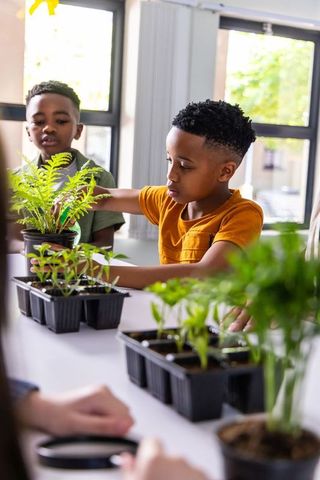 African american boys planting seedlings in classroom learning hands-on school gardening