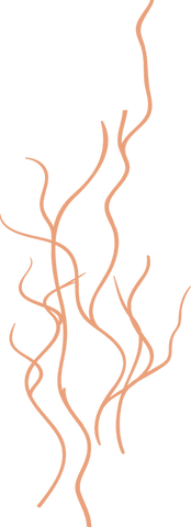 orange curling tendrils on transparent background simple abstract design - Download Free Stock Videos Pikwizard.com