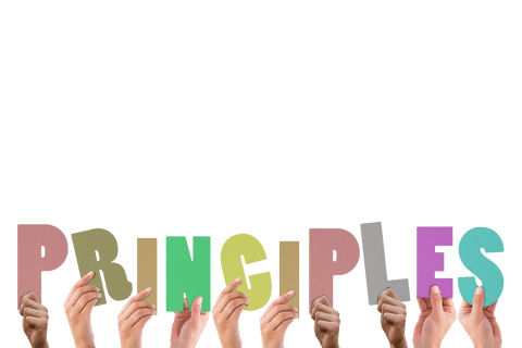 Hands Holding Colorful Letters Spelling 'Principles' with Transparent Background - Download Free Stock Videos Pikwizard.com