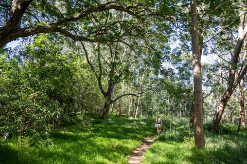 Woman Hiking on Lush Green Forest Trail