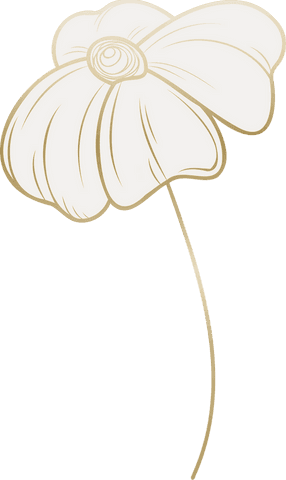 Minimalist Flower with Transparent Background Illustration