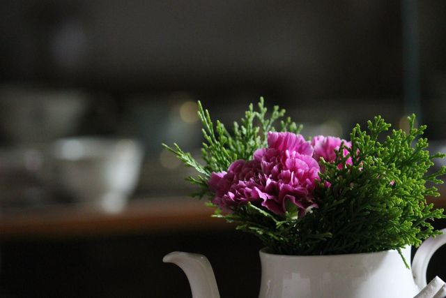 Elegant Teapot Vase with Fresh Pink Carnations - Download Free Stock Photos Pikwizard.com