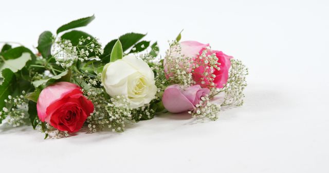 Bouquet of red, white and pink roses on white background - Download Free Stock Photos Pikwizard.com