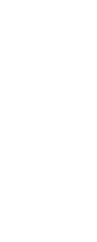 Transparent Silhouette of Woman Holding Weight for Fitness and Sports