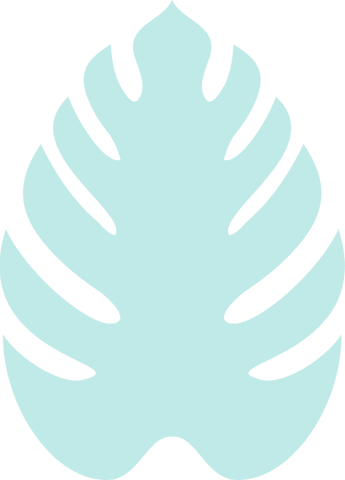 turquoise monstera leaf illustration on transparent background - Download Free Stock Videos Pikwizard.com