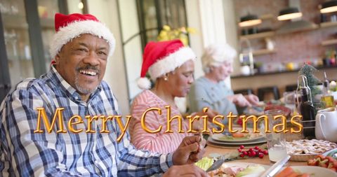 Senior Friends Celebrating Christmas with Festive Dinner - Download Free Stock Images Pikwizard.com