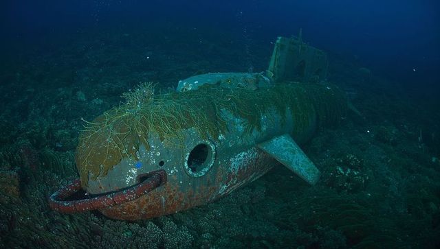 Torpedo-shaped submersible wreck resting on deep seafloor with anemone-covered hull