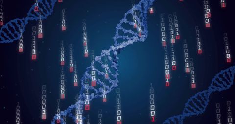 DNA Strands and Binary Code Representing Digital Genetic Research - Download Free Stock Images Pikwizard.com