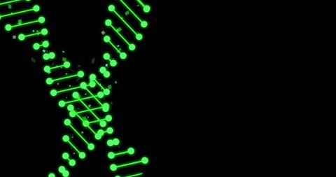 Glowing Digital DNA Strands On Black Backdrop