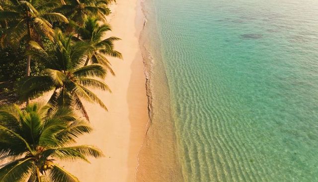 Aerial tropical coastline with sunlit golden sand and turquoise rippled sea