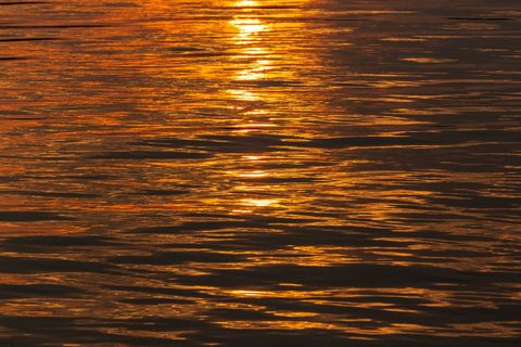 Golden sunset reflection shimmering on rippling water creating abstract warm background