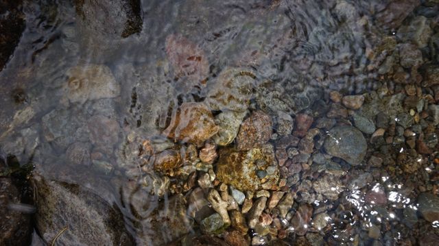 Clear Stream Water Flowing Over Colorful Rocks and Pebbles - Download Free Stock Photos Pikwizard.com