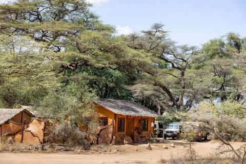 Rustic safari lodge cottage nestled in acacia woodland with safari 4x4 vehicles