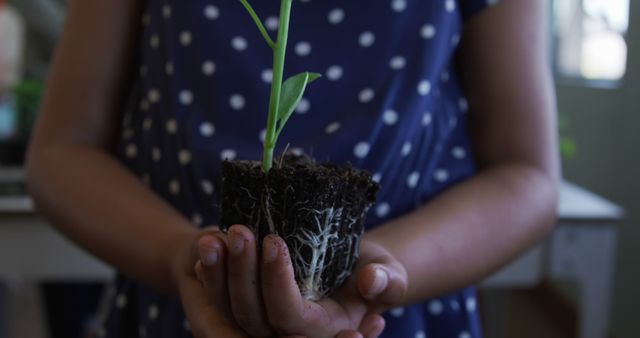 Child Holding Young Plant in Hands with Blue Polka Dot Dress - Download Free Stock Images Pikwizard.com