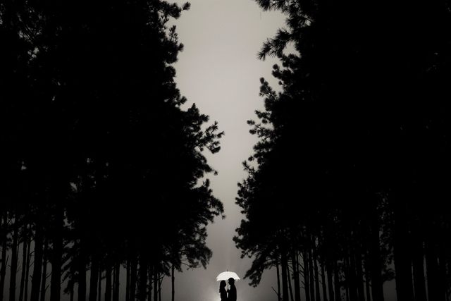 This image shows a silhouetted couple holding an umbrella while standing in a pine forest at dusk. The romantic and peaceful mood makes it ideal for use in love-themed products such as wedding invitations, greeting cards or romantic story covers. Its serene nature can also serve as background imagery for meditation apps or environmental campaigns.