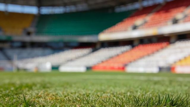 Showing closeup grass blades on stadium pitch with blurred seating tiers, low-angle detail