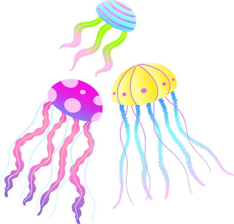 Whimsical Colorful Jellyfish Floating on Transparent Background - Download Free Stock Videos Pikwizard.com