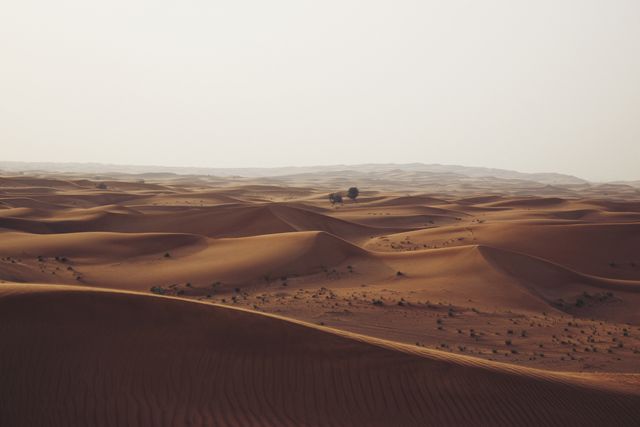 Vast desert landscape featuring rolling sand dunes under a clear sky. Dry, arid environment creates a sense of isolation and untouched wilderness. Useful for depicting themes of nature, extreme weather, exploration and adventure. Ideal for backgrounds, travel promotions, and environmental topics.