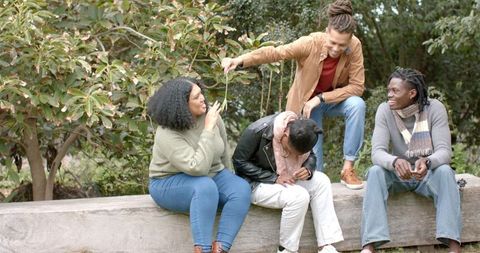 Diverse Friends Teasing, Laughing, and Chatting on Log Bench in Autumn Park