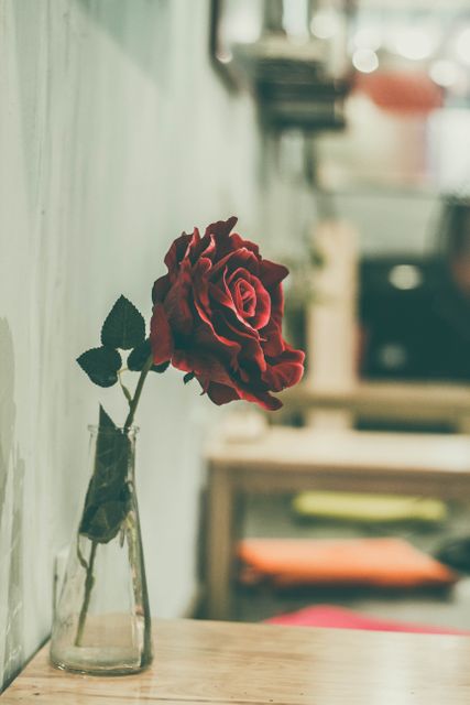 This image features a single red rose placed in a glass bottle on a wooden table, with a blurred background giving a soft, vintage feel. Useful for romantic themes, minimalist decor ideas, floral arrangements, Valentine's Day promotions, or mood-setting imagery for blogs and websites.