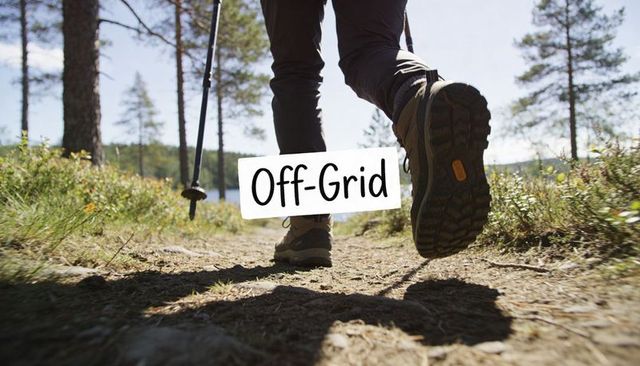 Walking hiker on pine trail with trekking pole and boots, off-grid outdoor adventure