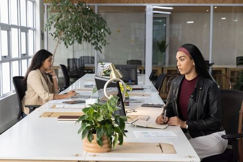 Diverse female colleagues collaborating at shared desk in open-plan office with plants
