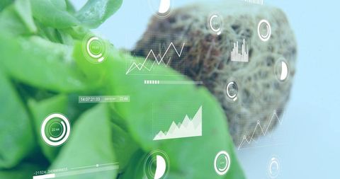 Showing plant health monitoring with digital data overlays and seed pod macro close-up