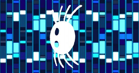Spider Silhouette on Blue Technology Background for Digital Concepts