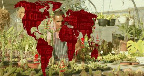 Greenhouse worker inspecting succulents with red world map data overlay for sustainable horticulture