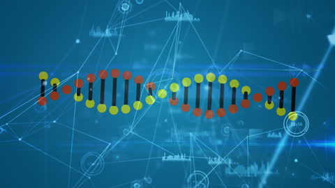 Digital DNA Strand with Network Connections and Statistics
