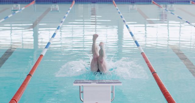 Swimmer diving into pool during competition - Download Free Stock Images Pikwizard.com