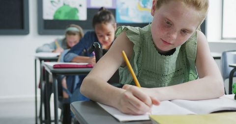 Inclusive Classroom with Focused Schoolgirl in Wheelchair Writing - Download Free Stock Images Pikwizard.com