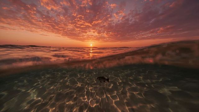 Sunset Reflections Over Ocean Wave with Small Fish and Sandy Floor