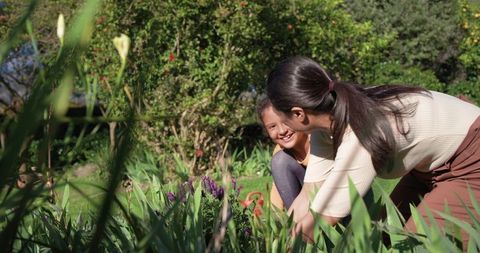 Mother and daughter gardening together in sunny backyard planting lavender blooms