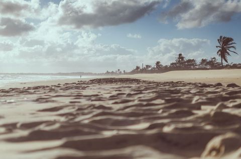 Wind-swept tropical beach with rippled sand, palm silhouettes and cloudy sky