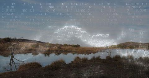 Binary data overlay on tranquil marsh pond reflecting digital waveform and landscape