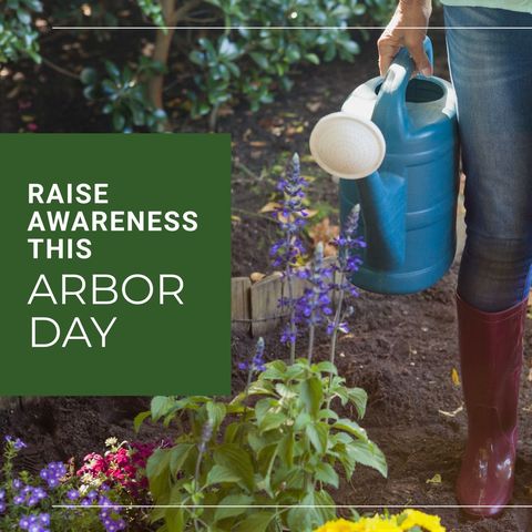 Celebrate Arbor Day: Watering Plants to Support Nature