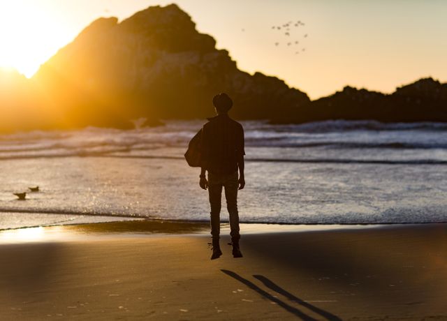 Silhouette of Man Standing in Beach during Golden Hour - Download Free Stock Photos Pikwizard.com